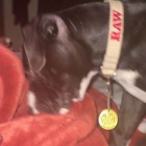 Meet your Posher, Lee